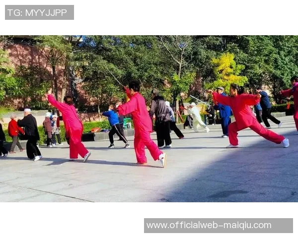 固原社区体育器材建设助力全民健身提升居民健康水平与生活质量